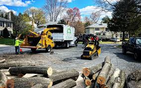 Best Lawn Renovation and Restoration  in Seal Beach, CA