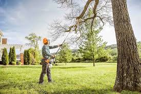 Lawn Irrigation Installation and Maintenance in Seal Beach, CA