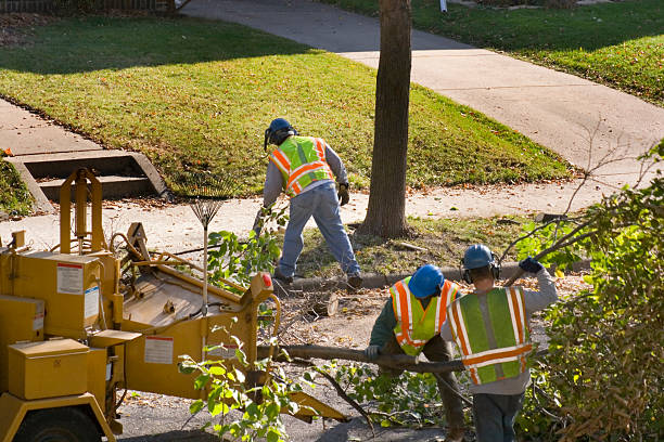 Best Aeration Services  in Seal Beach, CA